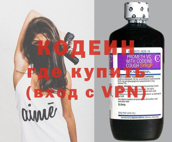 сатива Балахна
