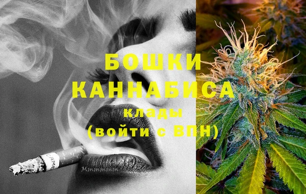 сатива Балахна