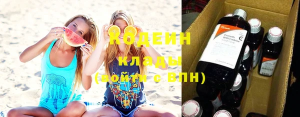хмурый Ельня
