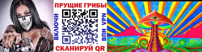 omg как зайти  купить  цена  Новый Уренгой  Псилоцибиновые грибы MAGIC MUSHROOMS 